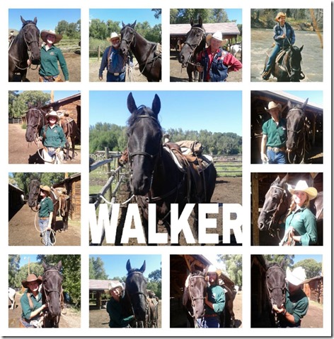 walker