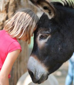 girl and donkey