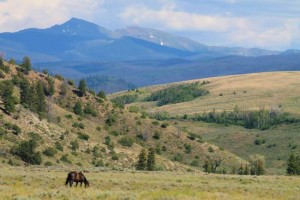 Beautiful Rocky Mountain location for Colorado horseback riding