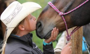 Horse kiss