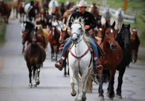 bringing in the horses