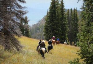 horseback riding across field