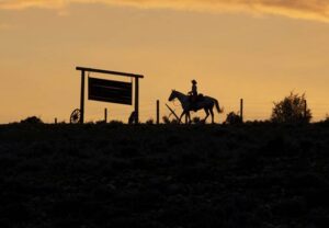 cowboy at sunset