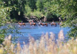 horse trip crossing river