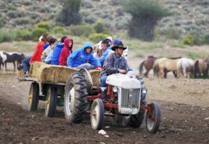 tractor rides