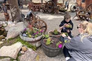 planting flower pots