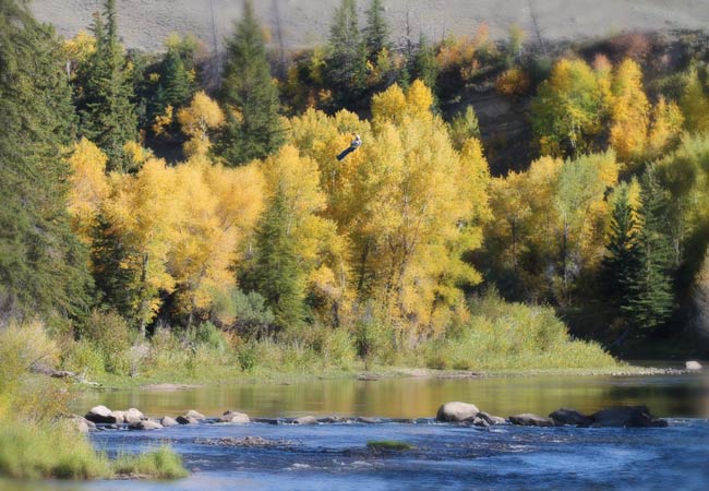 ziplining over river