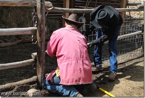 fixing fence